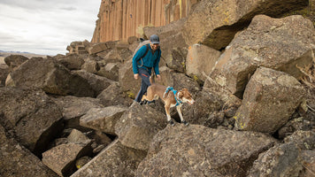 About: Grip Trex™ Dog Boots Video Thumbnail